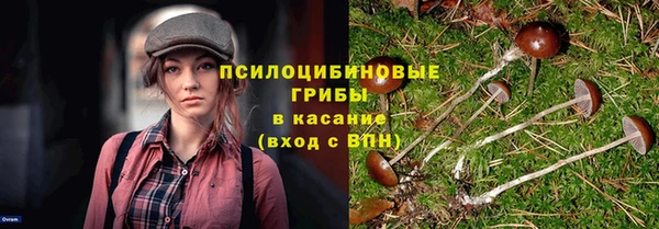 стаф Гусиноозёрск