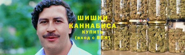 дурь Шали