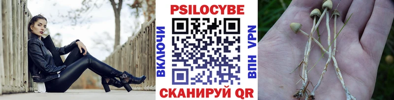где купить наркотик  Мезень  Галлюциногенные грибы MAGIC MUSHROOMS 